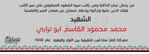محمود ابو ترابي