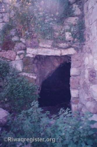 1445766 orig