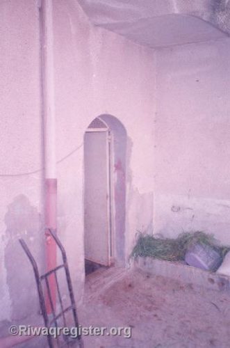 3016883 orig